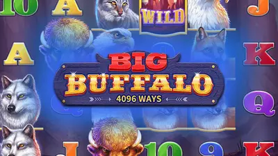 big buffalo